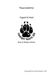 Theorie 1 - Hundesport Reusstal SKG