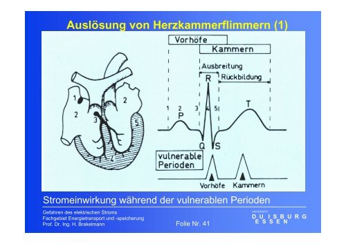 Gefahren des elektrischen Stromes - University Duisburg-Essen