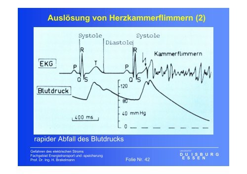 Gefahren des elektrischen Stromes - University Duisburg-Essen