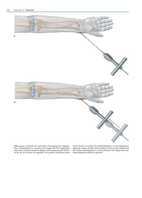 Probekapitel [.pdf - ca. 5233 kb] - Minerva KG Gude