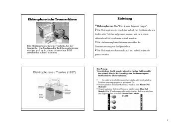 Elektrophoretische Trennverfahren