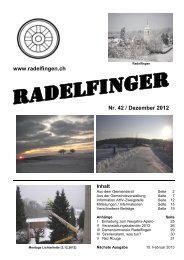 Radelfinger-Nr. 42 / Dezember 2012 - Gemeinde Radelfingen