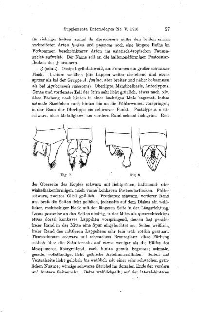 H, Sauter's Formosa-Ausbeute.