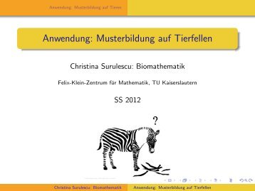 Anwendung: Musterbildung auf Tierfellen