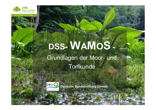 DSS-WAMOS - Grundlagen der Moor- und Torfkunde
