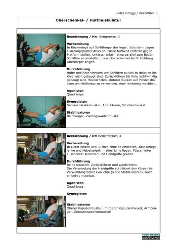 Oberschenkel- / Hüftmuskulatur - Fitlife - Training