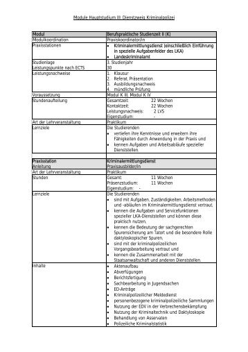 Module Hauptstudium III Kriminalpolizei - Hochschule der Polizei ...