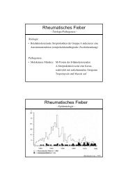 Rheumatisches Fieber, Endokarditis