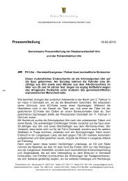 130219_Polizei fasst mutmaßliche Einbrecher.pdf