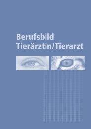 Berufsbild Tierärztin/Tierarzt - SAVIR