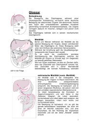 Glossar (PDF, 0.5 MB) - Qualitative Viszerale Osteopathie