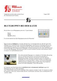 BLUTGRUPPEN BEI DER KATZE - Labor - Laupeneck