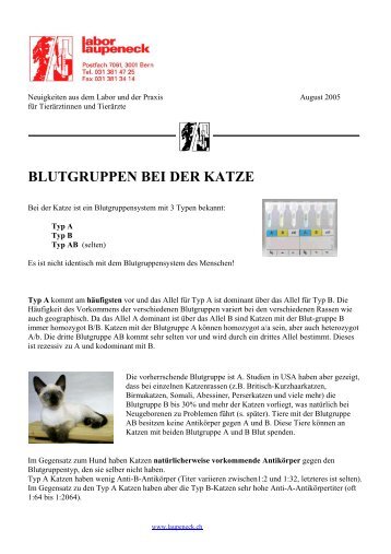 BLUTGRUPPEN BEI DER KATZE - Labor - Laupeneck