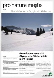 regio 3/2013 - Pro Natura Graubünden