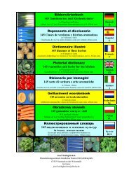 Bilderwörterbuch 145 Gemüsearten und Küchenkräuter ... - Myfruit