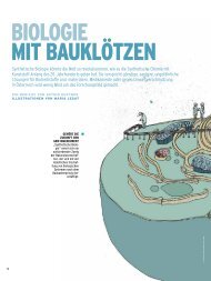 Biologie mit Bauklötzen - Markus Schmidt