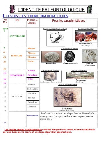 Fossiles chrono stratigraphiques( bons fossiles) - tunisiamaths