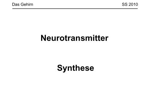 Neurotransmitter Synthese - Arndbaumann.de