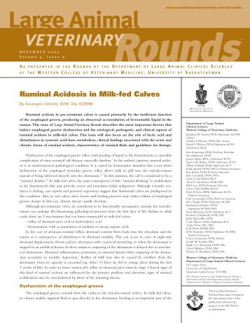 Ruminal Acidosis in Milk-fed Calves - Large Animal Veterinary Rounds