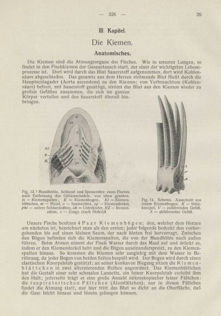 Praktikum der Fischkrankheiten - Runkebjerg.dk