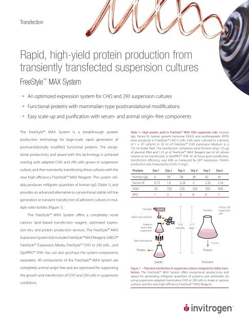 Rapid, high-yield protein production from transiently ... - Invitrogen