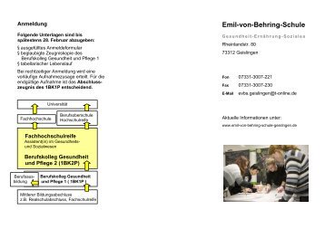 Emil-von-Behring-Schule - T-Online