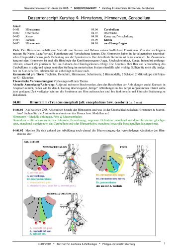 Dozentenscript Kurstag 4: Hirnstamm ... - Medistuff-Marburg