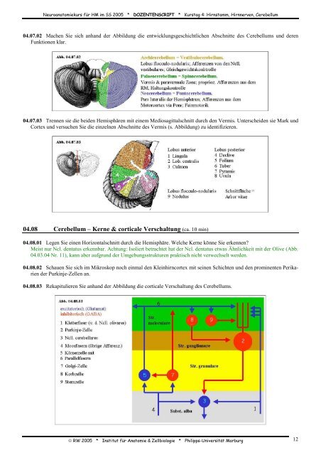 Dozentenscript Kurstag 4: Hirnstamm ... - Medistuff-Marburg