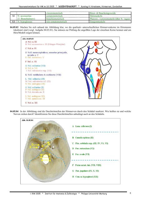 Dozentenscript Kurstag 4: Hirnstamm ... - Medistuff-Marburg