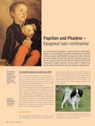 Papillon und Phalène - Schweizer Hunde Magazin