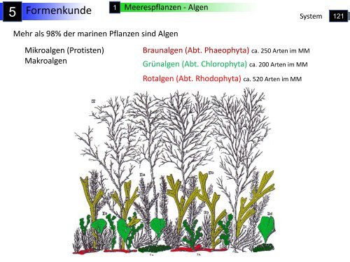 Geografie – Geologie - Hydrologie