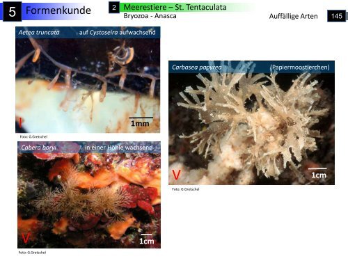 Geografie – Geologie - Hydrologie