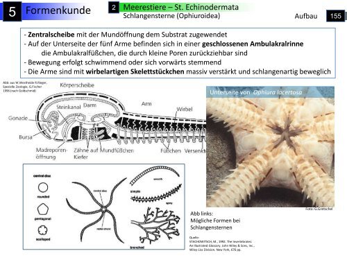 Geografie – Geologie - Hydrologie