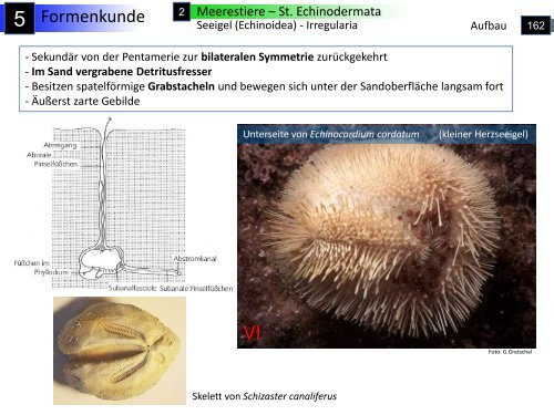 Geografie – Geologie - Hydrologie