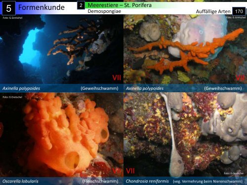 Geografie – Geologie - Hydrologie