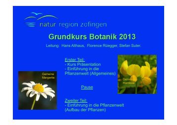 Einführung Botanik 2013