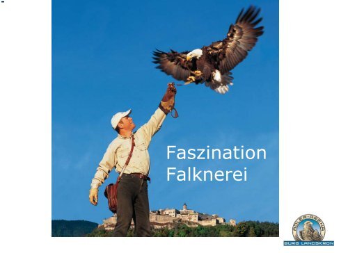 Faszination Falknerei