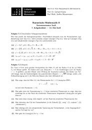 Numerische Mathematik II