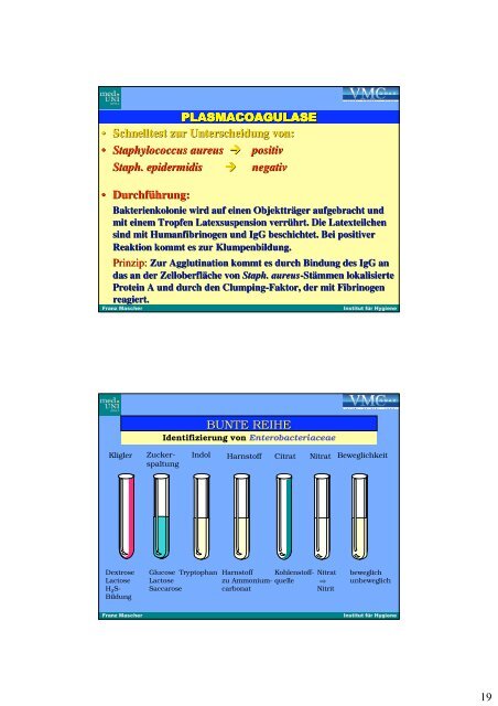 Mikrobiolobie - Bakteriologie I - PharmXplorer