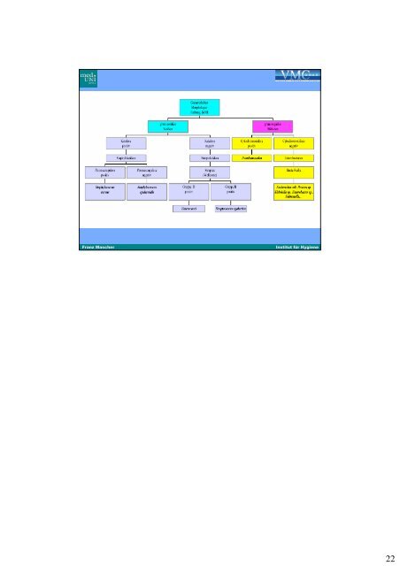 Mikrobiolobie - Bakteriologie I - PharmXplorer