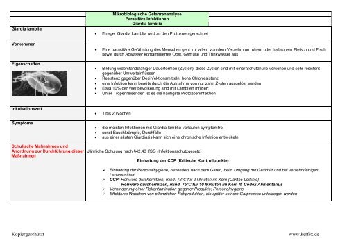 Steckbrief Mikroorganismen.pdf - Kerfex.de