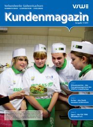 Ausgabe 1/2011 - VWS Verbundwerke Südwestsachsen GmbH