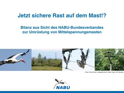 Jetzt sichere Rast auf dem Mast!? - Naturschutz-Akademie Hessen
