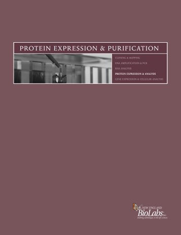 protein expression & purification - New England Biolabs Canada