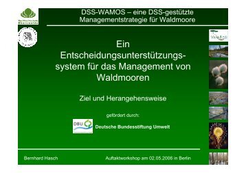 Ein Entscheidungsunterstützungssystem für das ... - DSS-WAMOS