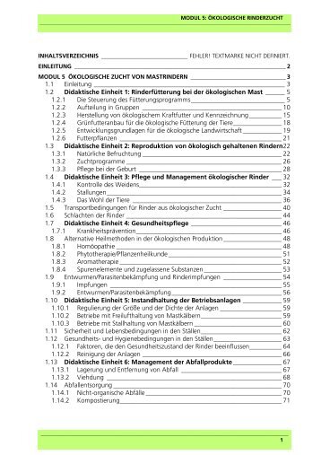 Modul 5 - Projects - IFES