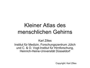 Kleiner Atlas des menschlichen Gehirns (ca. 1,2 MB) - Anatomie.net