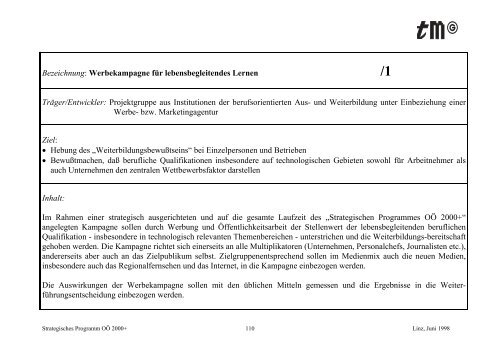 Strategisches Programm OÖ 2000+ - TMG