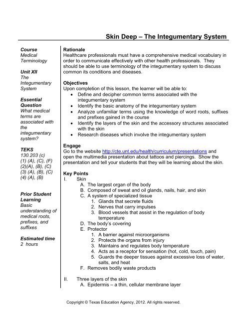 Skin Deep The Integumentary System Health Science