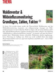 Waldinventur & Wildeinflussmonitoring, Teil 2 - Weidwerk